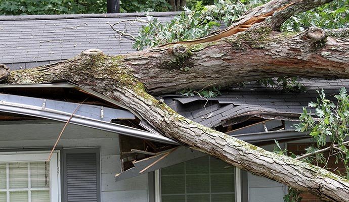 Storm Damage Restoration Services In Spokane & Coeur d’Alene