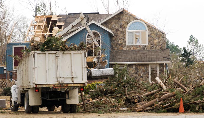 Tree Removal Services In Spokane and Coeur d’Alene