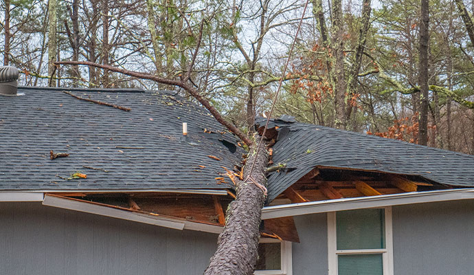 Storm damage, fallen  tree  on the house
