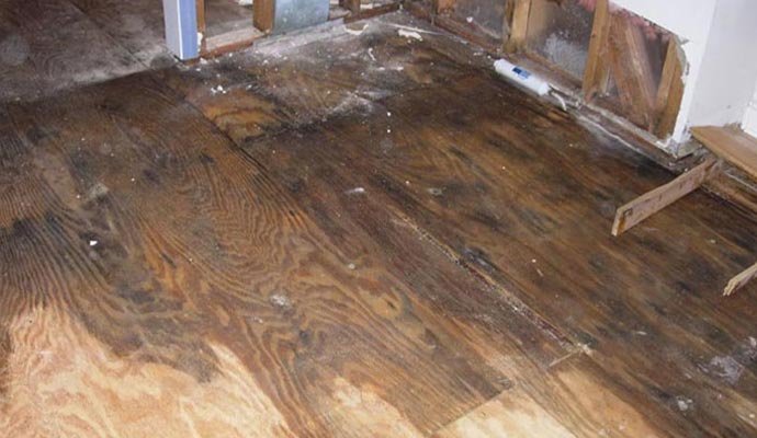 water damaged wooden floor